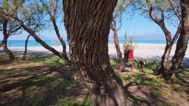 Sahil kenarındaki ağaçların arasına bir yangın kasası yerleştiriliyor. Yangın tehlikesine karşı hızlı tepki veriyor..
