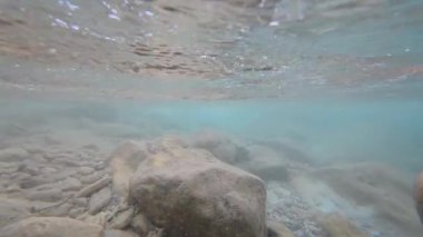 Işıldayan ışıkla parıldayan kayalık bir nehir yatağının sualtı görüntüsü, sonra da manzaralı bir dağ manzarasını ortaya çıkarmak için yüzeye çıkıyor..