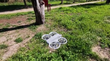 İnsansız hava aracı, parkların doğal zemin katmanını yakın mesafeden görüntüler..