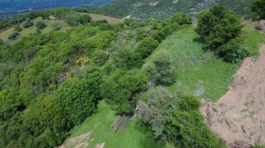 Yunanistan 'da çekilen bu video, çalılar ve vahşi ağaçlarla kaplı engebeli bir yamacı çekiyor. İnsansız hava aracı yeşil bir Akdeniz dağını açığa çıkararak yükselir..