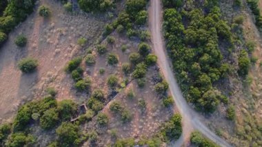 Yunanistan 'ın kırsal bir toprak yolu, Akdeniz ağaçları ve yabani bitki örtüsüyle çevrili bir tepe boyunca uzanıyor. İnsansız hava aracı görüntüleri doğal ortamda bir yol kesişmesini gösteriyor..