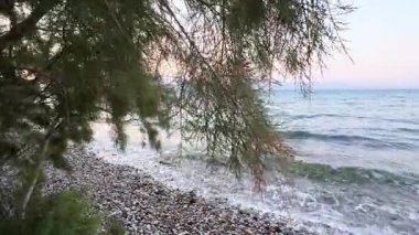 Yunanistan 'da gün batımından hemen önce bir çakıl taşı plajı çekiliyor. Suyun yakınındaki yumuşak dalgalar ve ağaçlar Akdeniz manzarası yaratır.