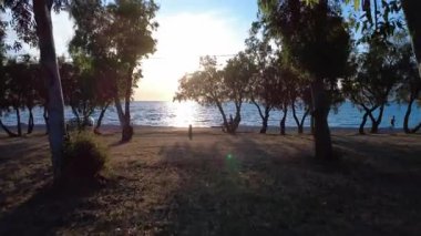 Yunanistan 'da yoğun bir sahil bulvarı boyunca araç, bisiklet ve koşucuların görüntüleri. Akdeniz akşam ışığı kıyı manzarasına sıcaklık katıyor..