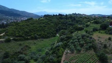Yunanistan 'daki bir dağ kasabası, Akdeniz ışığı altındaki ormanlar ve yüksek zirvelerle çevrili yemyeşil tepelerin arasında, huzurlu bir kırsal manzara yaratıyor..
