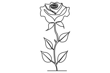 Ana çizim vektör çiziminin sürekli çizimi olan gül çiçeği.