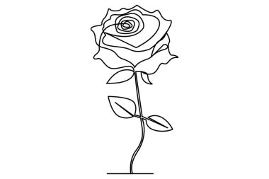 Ana çizim vektör çiziminin sürekli çizimi olan gül çiçeği.