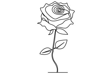 Ana çizim vektör çiziminin sürekli çizimi olan gül çiçeği.