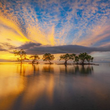 Mangrov ağaçlarının siluetlerini ve batan sahilde gün batımının yansımasını görmek. Aimoli plajı, Alor, Doğu Nusa Tenggara - Endonezya