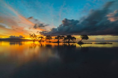 Mangrov ağaçlarının siluetlerini ve batan sahilde gün batımının yansımasını görmek. Aimoli plajı, Alor, Doğu Nusa Tenggara - Endonezya