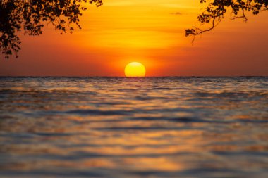 Mangrov ağaçlarının siluetleri arasında güzel bir günbatımı. Alor, Doğu Nusa Tenggara, Endonezya