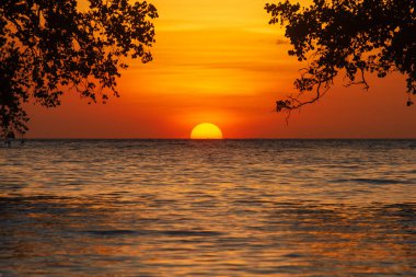 Mangrov ağaçlarının siluetleri arasında güzel bir günbatımı. Alor, Doğu Nusa Tenggara, Endonezya