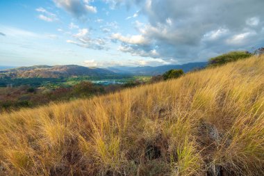 Mangrov ağaçlarının siluetleri arasında güzel bir günbatımı. Alor, Doğu Nusa Tenggara, Endonezya