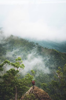 Bir adam sisli havada bir tepede duruyor ve tropikal ormanın tadını çıkarıyor. Talopi, Alor, Doğu Nusa Tenggara - Endonezya