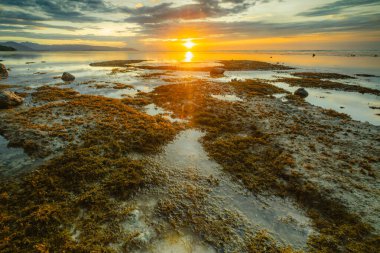 Sahilde gün batımı manzarası. Feifanja plajı, Alor, Doğu Nusa Tenggara - Endonezya