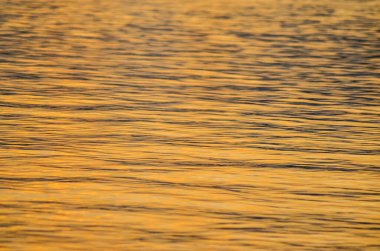 Altın deniz. Gün batımında güneş ışığına maruz kaldığında deniz suyunun dalgalanma dokusu
