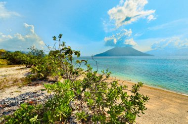 Güzel tropik plaj. Sebanjar plajı, Alor Adası, Doğu Nusa Tenggara - Endonezya