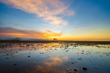 Gün batımının batan denizdeki yansıması. Kokar Plajı, Alor, Doğu Nusa Tenggara - Endonezya