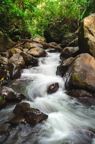 Tropik bir orman vadisinde nehir manzarası. Alor Adası - Endonezya