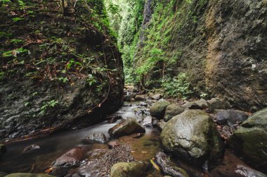 Tropikal bir orman vadisinin dibinde bir nehir. Alor, Doğu Nusa Tenggara - Endonezya
