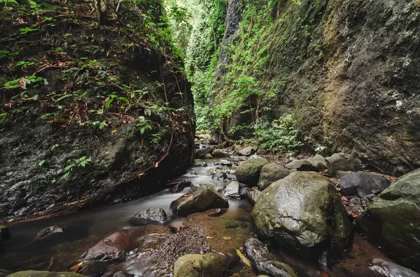 Tropikal bir orman vadisinin dibinde bir nehir. Alor, Doğu Nusa Tenggara - Endonezya