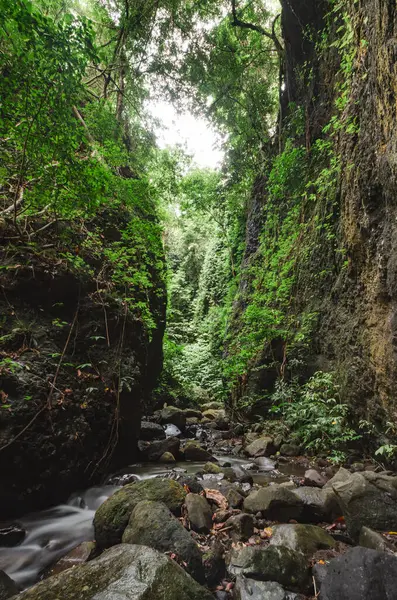 Tropikal bir orman vadisinin dibinde bir nehir. Alor, Doğu Nusa Tenggara - Endonezya