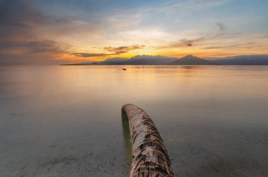 Gölgeli denizden güzel bulutlu gün doğumu manzarası. Denizde hindistan cevizi ağacı gövdesi. Munaseli, Alor, Doğu Nusa Tenggara - Endonezya