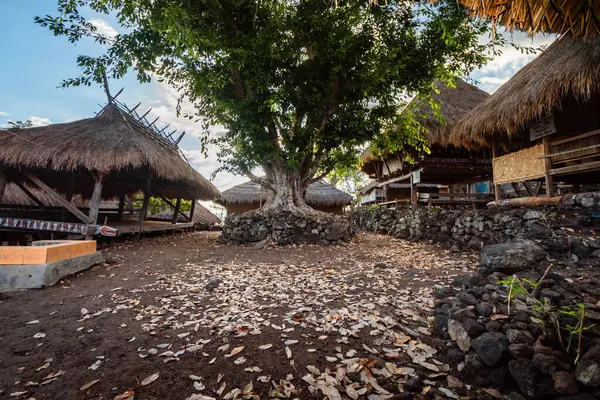 Bampalola kabilesinin geleneksel evi. Alor, Doğu Nusa Tenggara, Endonezya - 01 Eylül 2021
