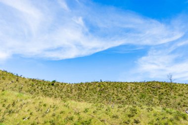 Yazın açık mavi gökyüzü olan yeşil tepelerin manzarası. Alor Adası, Doğu Nusa Tenggara - Endonezya