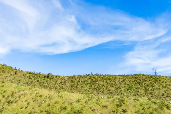 Yazın açık mavi gökyüzü olan yeşil tepelerin manzarası. Alor Adası, Doğu Nusa Tenggara - Endonezya