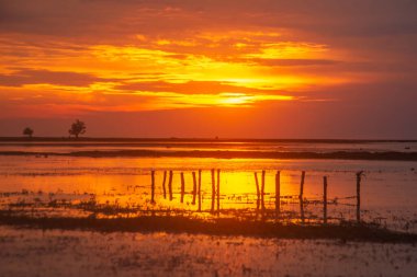 Gün batımının alçak gelgitte güzel bir manzarası. Deere Plajı, Alor, Doğu Nusa Tenggara - Endonezya