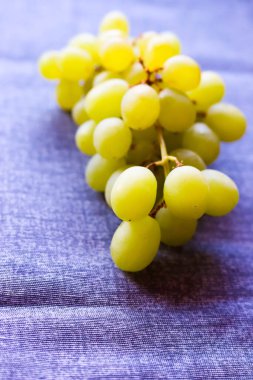 Üzüm yüzeyine aşırı yakın çekim, doğal çiçek, su damlacıkları ve deri dokusunu gösteriyor. Tarım çalışmaları veya kozmetik doğal malzeme gösterimleri için bilimsel eğitici kullanım