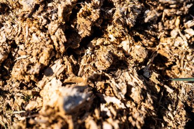 Kaba, çatlamış ağaç kabuğunun doğal renk ve doku çeşitliliğine sahip makro fotoğrafı. Yüzey, yosun parçalarıyla kahverengi, gri ve turuncu renkte kabuk soyma katmanları gösteriyor. Geçmişler, doğa projeleri, organik tasarımlar için ideal.