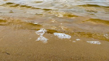 Sakin bir deniz dalgasının yakın plan çekimi. Altın kumlu bir sahilde usulca yıkanır. Doğal sıcak tonlar ve yumuşak ışıklandırma yalnızlık, saflık ve farkındalık dolu sakin bir atmosfer yaratır. Farkındalık, yavaş yaşam, eko yaşam tarzı gibi konular için mükemmel