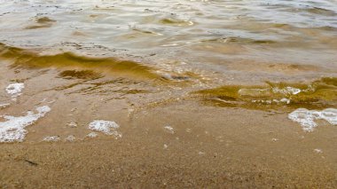 Sakin bir deniz dalgasının yakın plan çekimi. Altın kumlu bir sahilde usulca yıkanır. Doğal sıcak tonlar ve yumuşak ışıklandırma yalnızlık, saflık ve farkındalık dolu sakin bir atmosfer yaratır. Farkındalık, yavaş yaşam, eko yaşam tarzı gibi konular için mükemmel