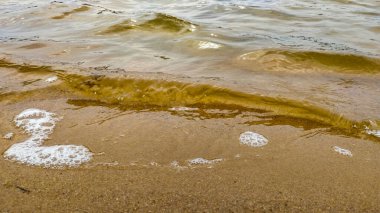 Sakin bir deniz dalgasının yakın plan çekimi. Altın kumlu bir sahilde usulca yıkanır. Doğal sıcak tonlar ve yumuşak ışıklandırma yalnızlık, saflık ve farkındalık dolu sakin bir atmosfer yaratır. Farkındalık, yavaş yaşam, eko yaşam tarzı gibi konular için mükemmel
