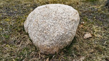 Kaba doku ve toprak renkleriyle doğal bir taş yüzeyine yakın plan çizilmiş. Görüntü kayanın karmaşık yapısını yakalar ve onu mimari, doğal ya da çevresel bir arkaplan, doku ya da tasarım unsuru olarak kullanmak için ideal kılar.