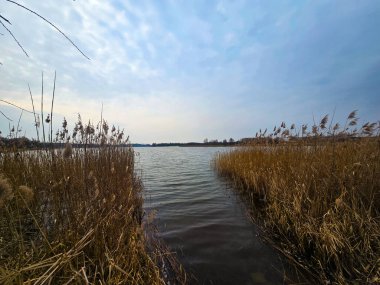 Sessiz kıyılar, yansıtıcı su yüzeyleri, gür yeşillikler ve kayalar, çimenler ve ağaçlar gibi organik dokular da dahil olmak üzere sakin göl manzaraları yakalayan yüksek kaliteli doğa fotoğraflarının birleşik bir koleksiyonu. Bu yazı dizisi yazı işleri için mükemmel.