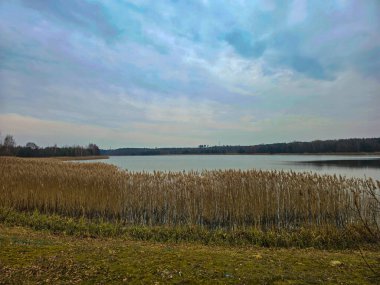 Yumuşak taşlı, yeşil çimenli ve durgun sulu yumuşak bir kıyı şeridi olan sakin bir göl manzarası. Kompozisyon, doğanın sakin güzelliğini vurguluyor, çevresel temalar, refah kavramları veya seyahat içeriklerinde kullanmak için mükemmel