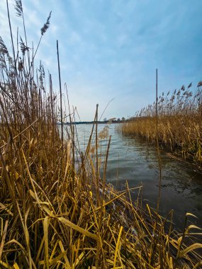 Sessiz kıyılar, yansıtıcı su yüzeyleri, gür yeşillikler ve kayalar, çimenler ve ağaçlar gibi organik dokular da dahil olmak üzere sakin göl manzaraları yakalayan yüksek kaliteli doğa fotoğraflarının birleşik bir koleksiyonu. Bu yazı dizisi yazı işleri için mükemmel.