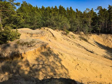 Kumlu kumullarda yetişen çam ağaçlarını gösteren çarpıcı doğal bir manzara. Bu manzara orman bitki örtüsü ve kumul arazisinin karışımını yakalar ve onu seyahat içeriği, çevresel konular veya tasarım ve arka plan görsellerinde kullanmak için ideal hale getirir.