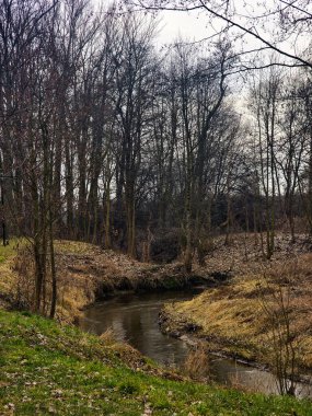Huzurlu bir nehir yemyeşil bir şehir parkında süzülüyor, sakin suları etrafındaki ağaçları ve gökyüzünü mükemmel bir şekilde yansıtıyor. Güneş ışığı yaprakların arasından süzülerek bu sakin sahnenin doğal yeşilliklerini ve mavilerini vurguluyor. Temalar için mükemmel