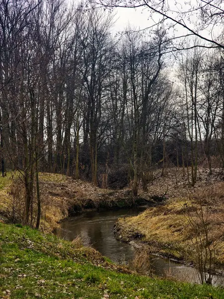 Huzurlu bir nehir yemyeşil bir şehir parkında süzülüyor, sakin suları etrafındaki ağaçları ve gökyüzünü mükemmel bir şekilde yansıtıyor. Güneş ışığı yaprakların arasından süzülerek bu sakin sahnenin doğal yeşilliklerini ve mavilerini vurguluyor. Rahatlama temaları için mükemmel