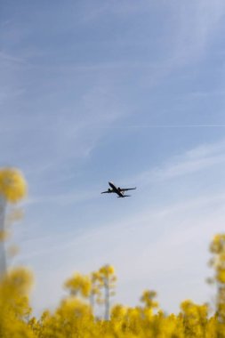 Clear Blue Sky 'da uçan uçak. Yüksek kalite fotoğraf
