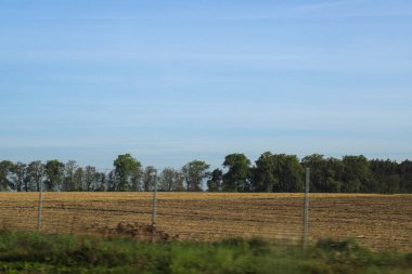 Yüksek çözünürlüklü panoramik görüntü bitkisel hayatta yeşil buğday tarlaları ile çeşitlendirilmiş tarım manzarası, tamamen açan kolza kanola ekinleri ve yakın zamanda hasat edilen tarım arazileri gösteriyor.. 