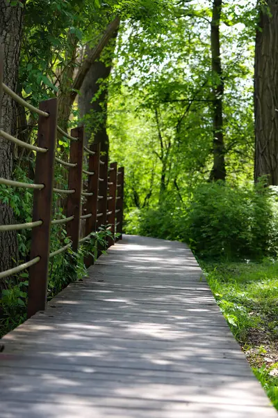 Canlı yeşil bir parkın içinden geçen ahşap bir patikanın güzel fotoğrafı. Doğal ahşap kalaslar, yemyeşil yapraklarla çok güzel tezat oluşturuyor ve doğaya doğru davetkar bir yürüyüş yolu yaratıyor. Çevre dostu tasarımlar ve seyahat için mükemmel.