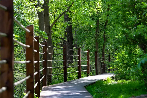 Canlı yeşil bir parkın içinden geçen ahşap bir patikanın güzel fotoğrafı. Doğal ahşap kalaslar, yemyeşil yapraklarla çok güzel tezat oluşturuyor ve doğaya doğru davetkar bir yürüyüş yolu yaratıyor. Çevre dostu tasarımlar ve seyahat için mükemmel.