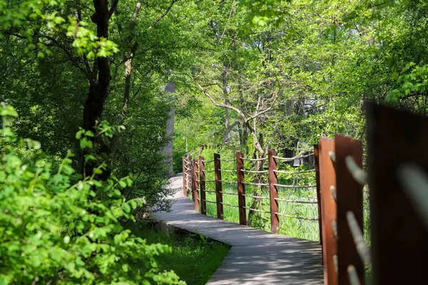 Canlı yeşil bir parkın içinden geçen ahşap bir patikanın güzel fotoğrafı. Doğal ahşap kalaslar, yemyeşil yapraklarla çok güzel tezat oluşturuyor ve doğaya doğru davetkar bir yürüyüş yolu yaratıyor. Çevre dostu tasarımlar ve seyahat için mükemmel.