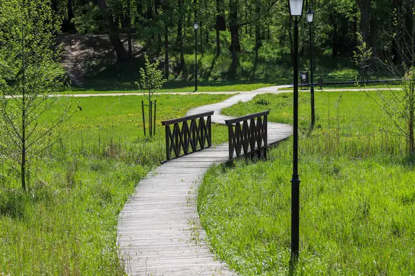 Lush Green Park 'ta Tahta Yürüyüş. Yüksek kaliteli bir fotoğraf. Uzun ağaçlar ve yoğun bitki örtüsüyle çevrili yeşil bir parkın içinden geçen ahşap bir patika. Barışçıl bahar ya da yaz manzarası açık hava eğlencesi, sürdürülebilir tasarım ve