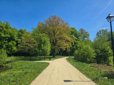 Yeşil ağaçlı, yürüyüş yollu ve bakımlı manzaralı huzurlu bir şehir parkı. Kentsel rahatlama, çevre dostu yaşam tarzları, şehir doğası ve halka açık alanlar için mükemmel bir örnektir. Görüntü sükuneti, temiz havayı taşır.