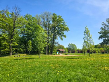 Yeşil ağaçlı, yürüyüş yollu ve bakımlı manzaralı huzurlu bir şehir parkı. Kentsel rahatlama, çevre dostu yaşam tarzları, şehir doğası ve halka açık alanlar için mükemmel bir örnektir. Görüntü sükuneti, temiz havayı taşır.